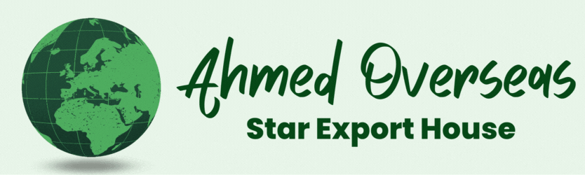 Ahmed overseas(3)